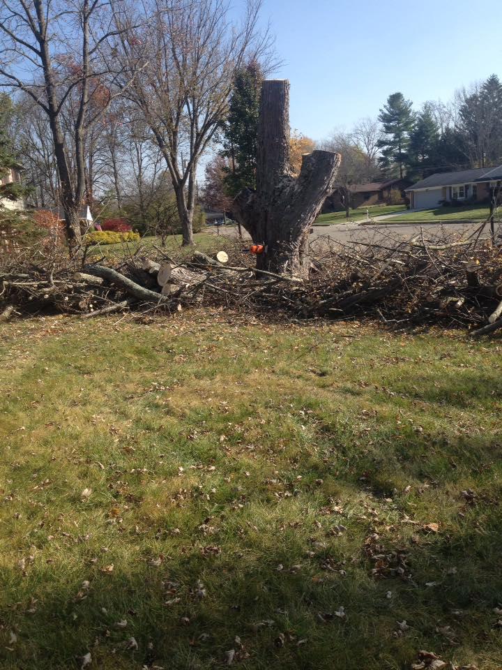Hackney Tree Service Image