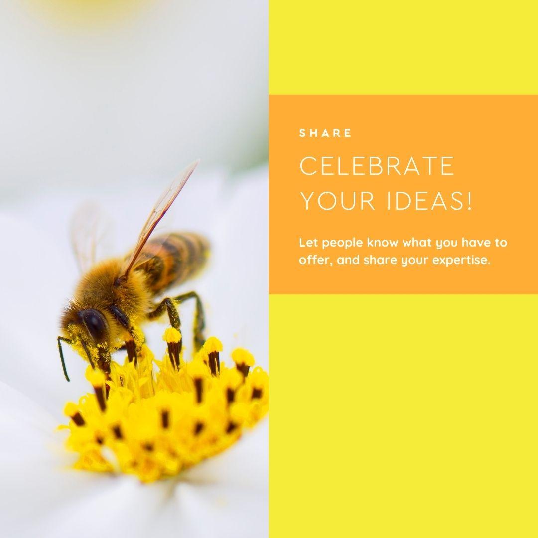 The SEO Answer Image