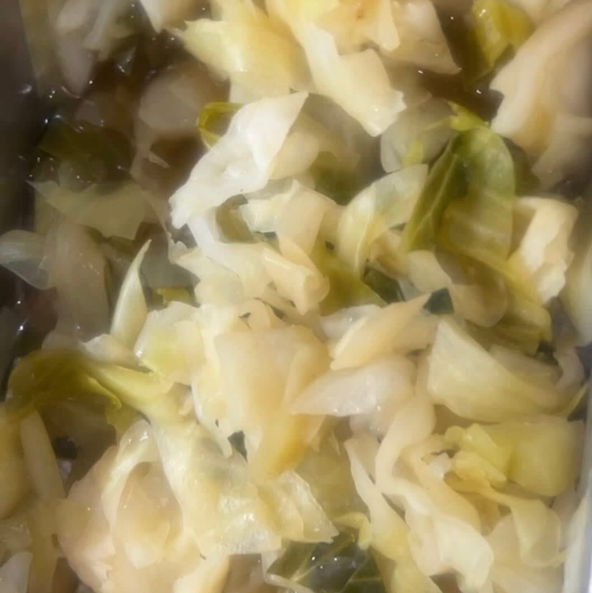 Cabbage