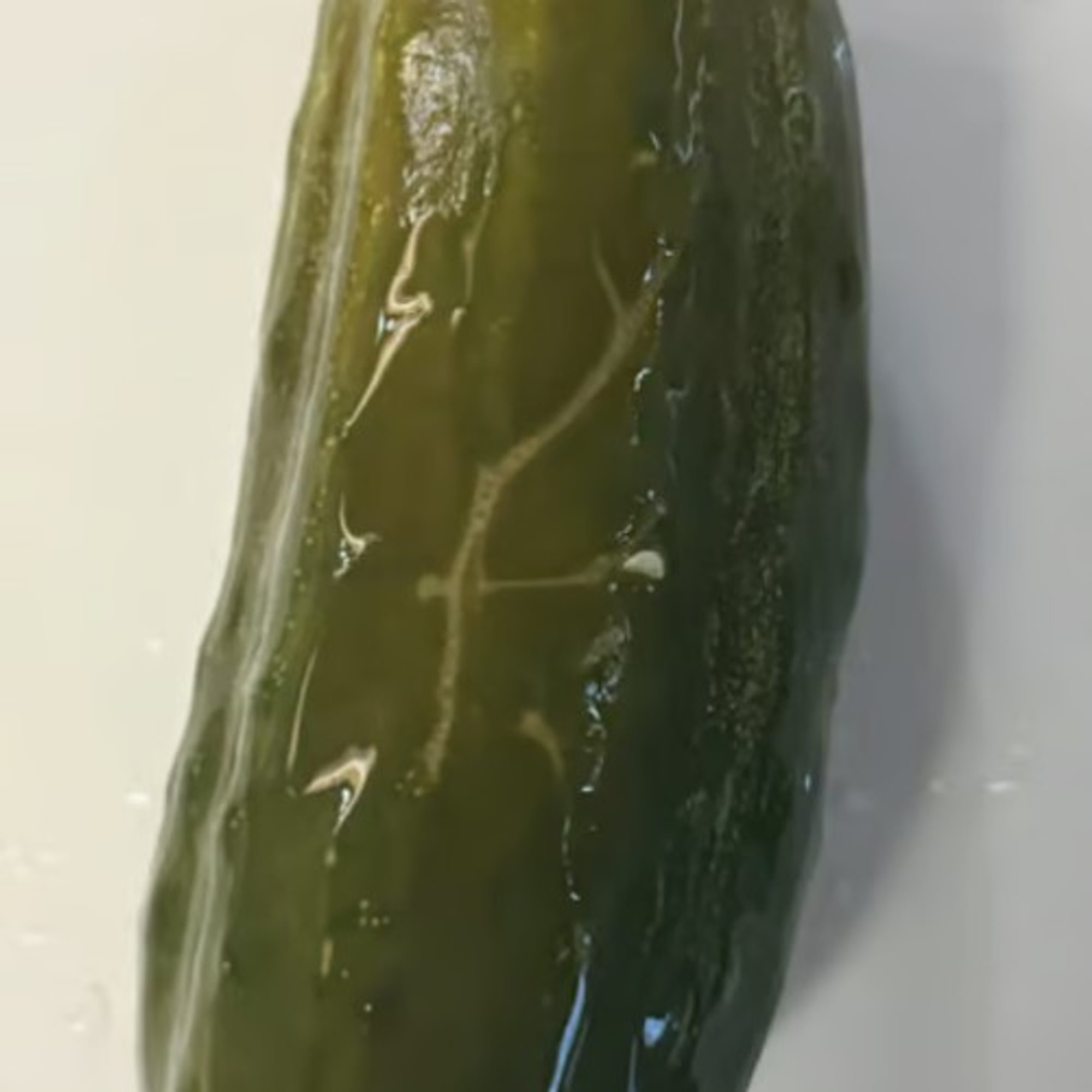 Half Sour Pickle