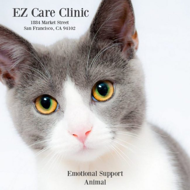 EzCare Medical Clinic Photo
