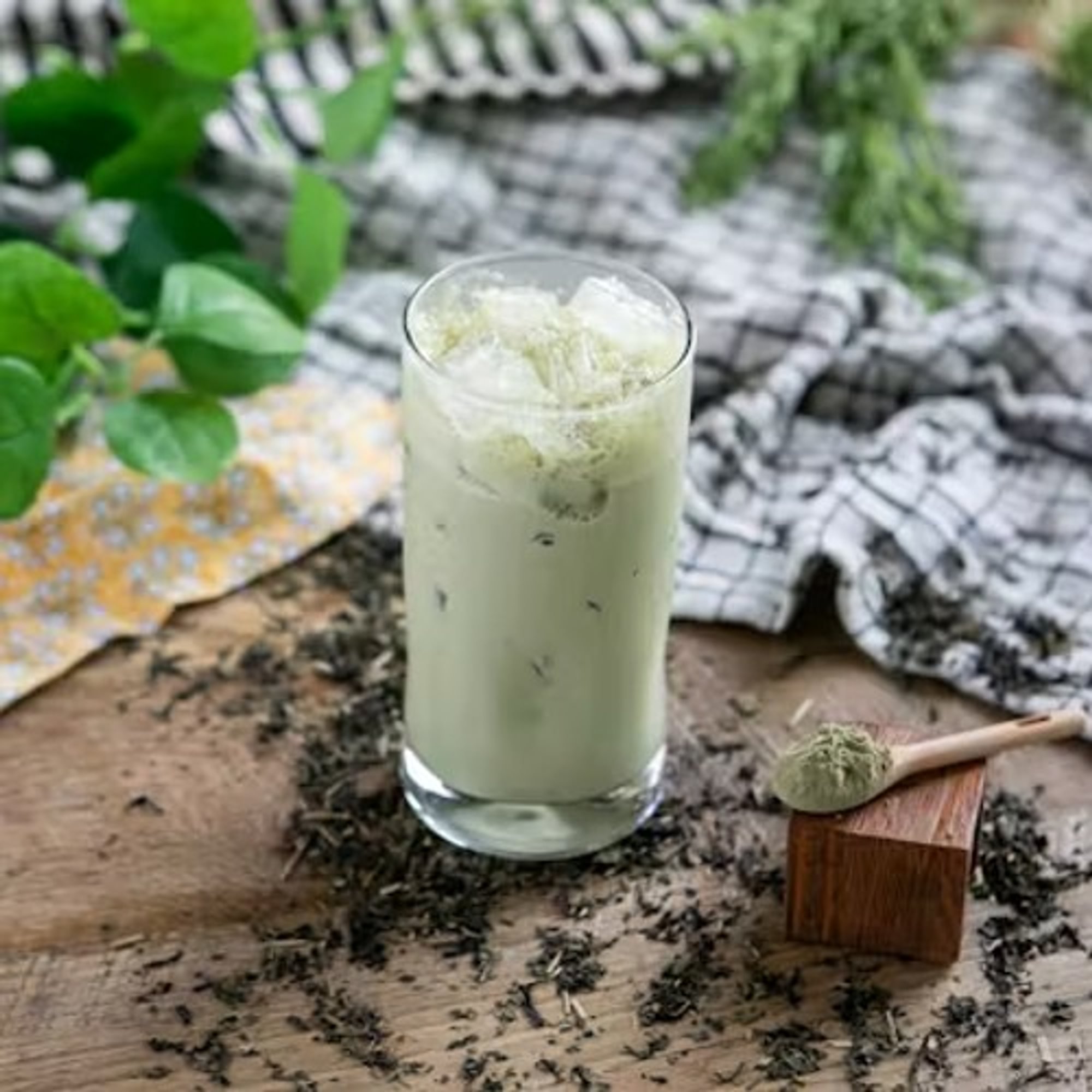 Matcha Soy Milk Tea