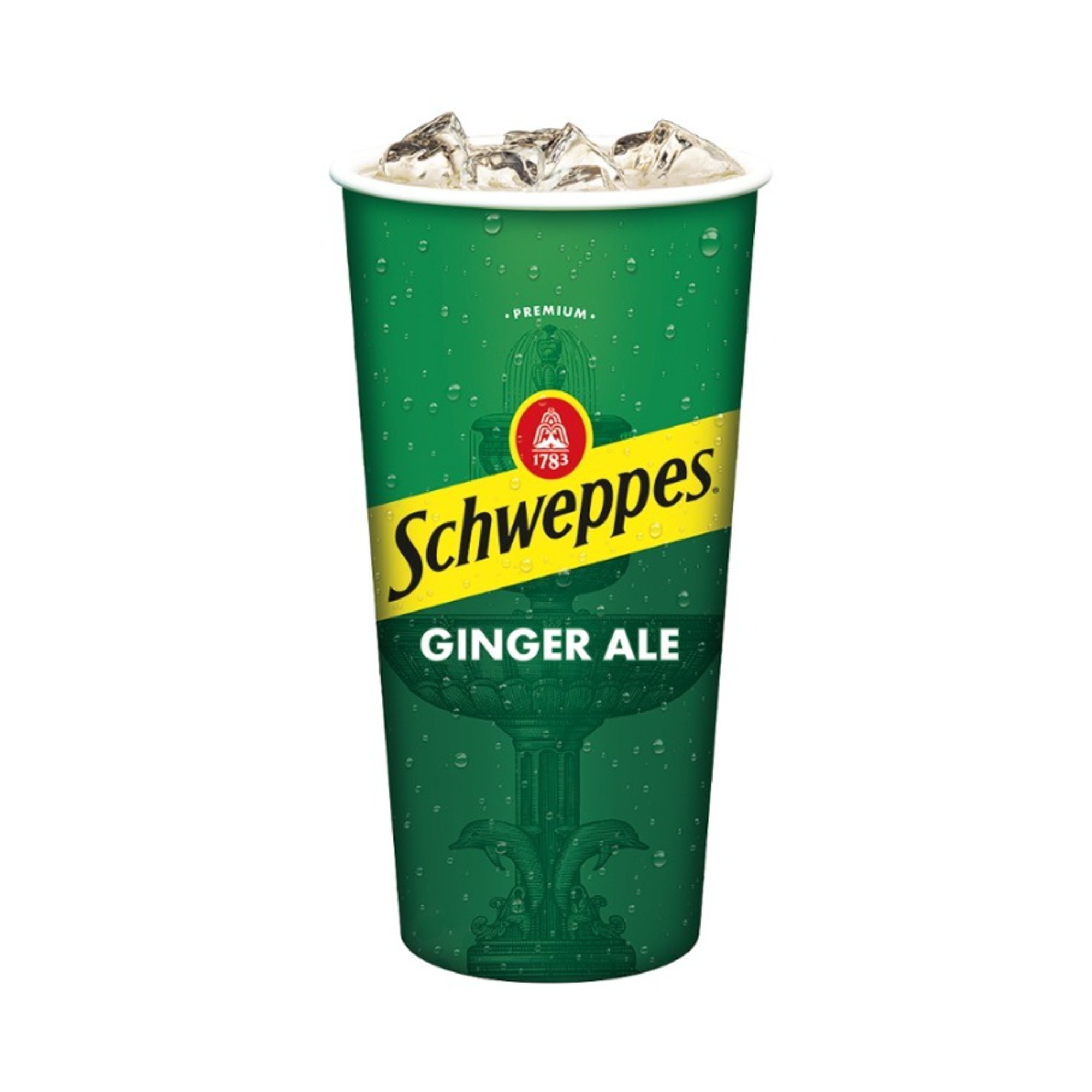 Schweppes Ginger Ale - Fountain