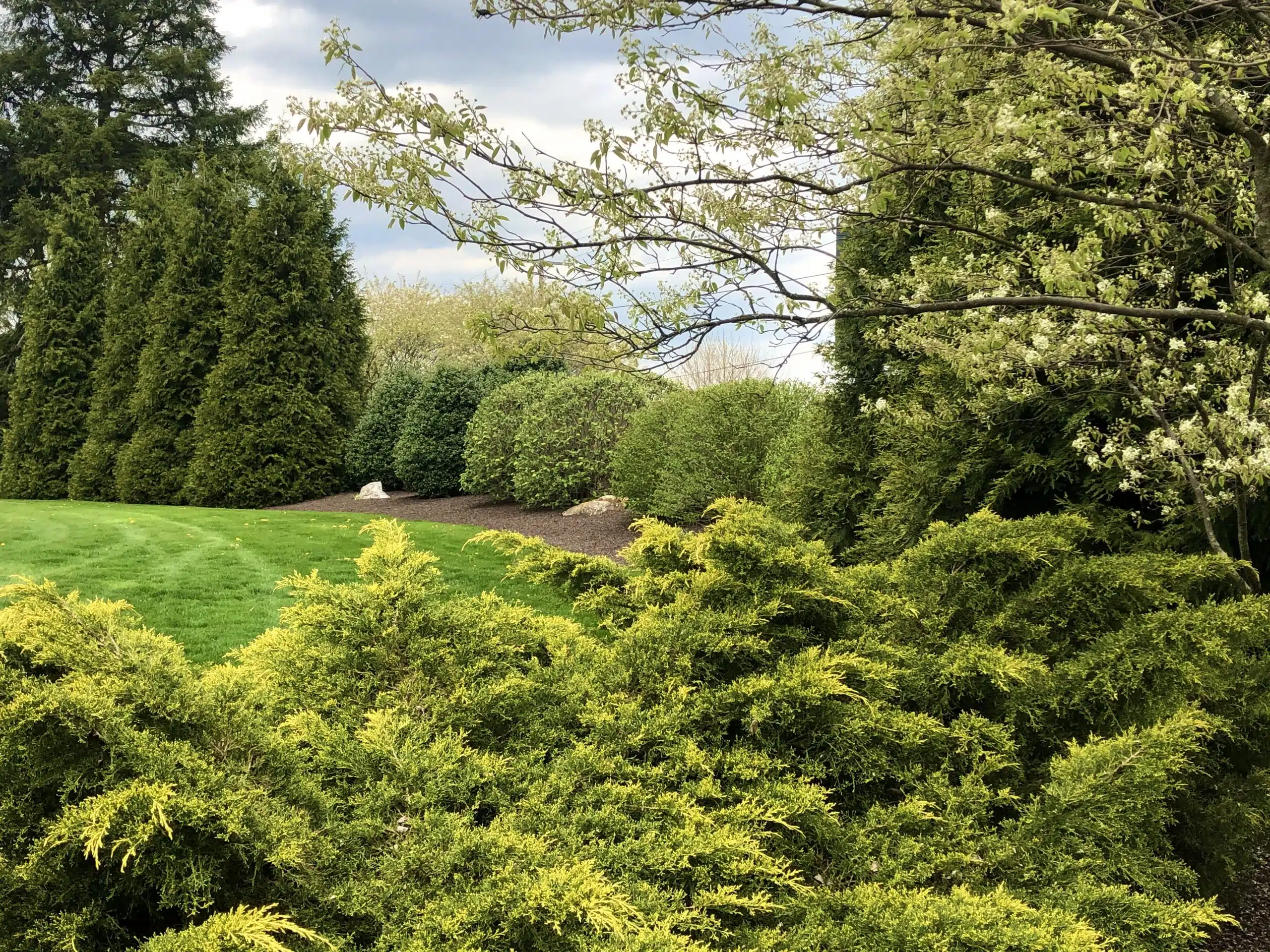 Cumberland Valley Tree Service - Landscaping Image