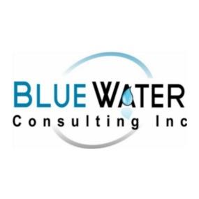 Blue Water Consulting Inc