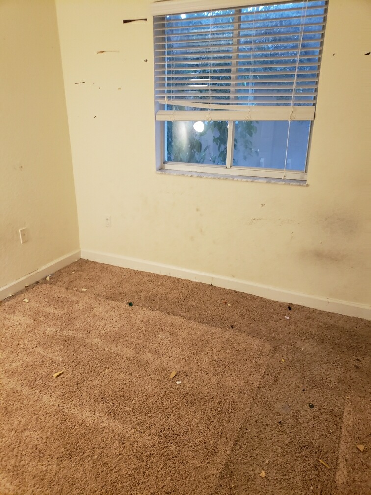 D&D Demo & Junk Removal LLC Image