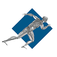 Harwood Orthopedics: Maury Harwood, M.D.