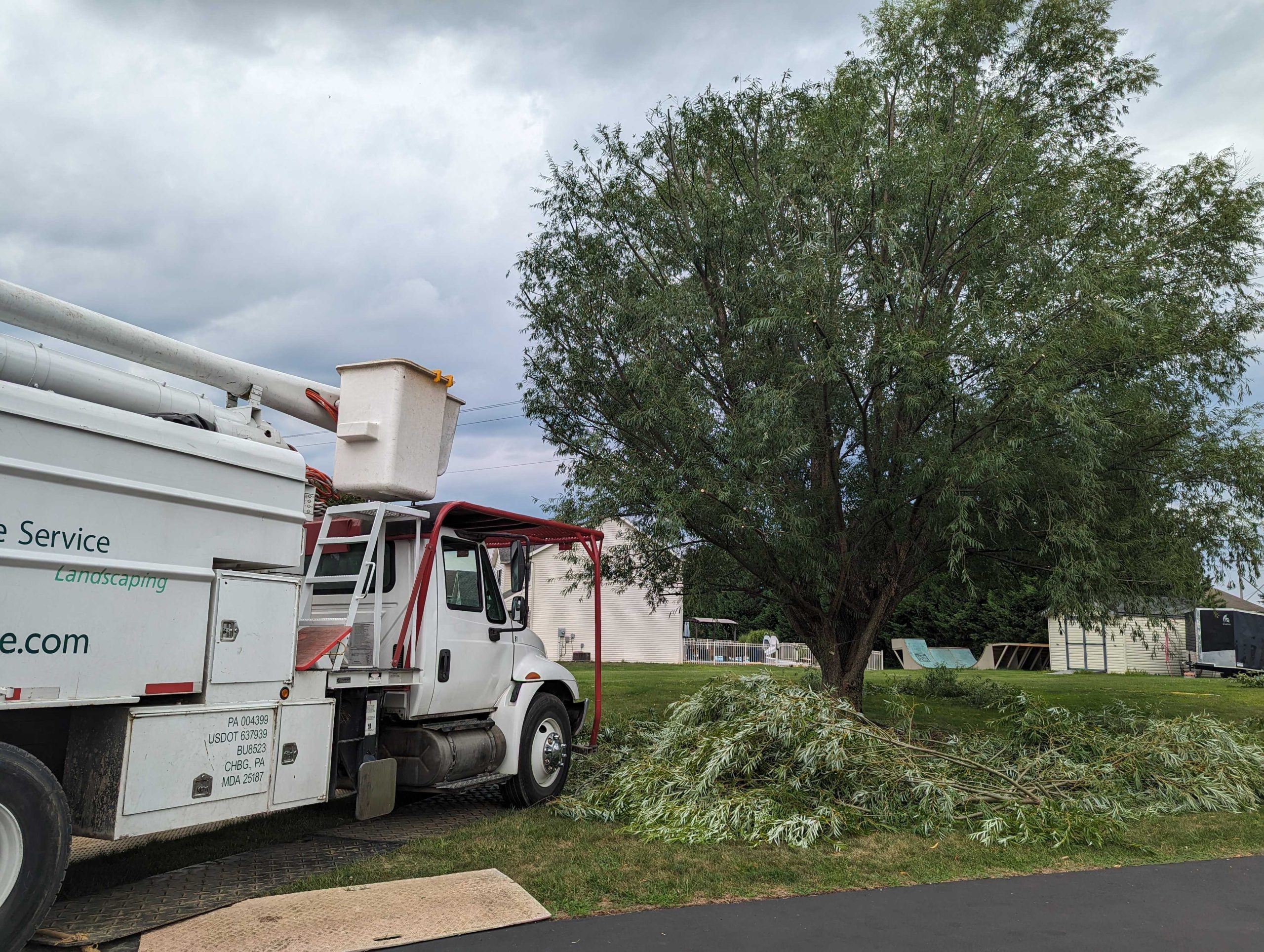 Cumberland Valley Tree Service - Landscaping Image