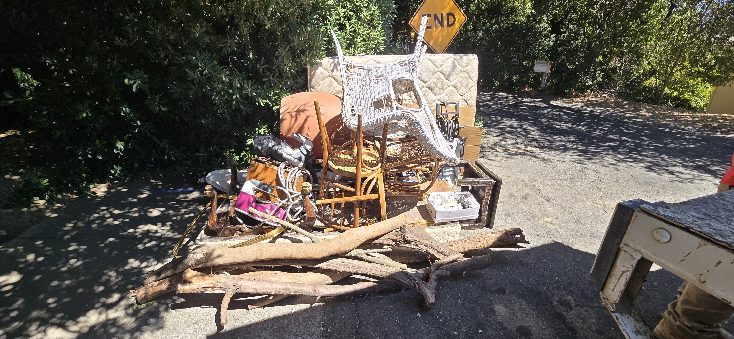 Big Rich Hauling & Junk Removal Services Image