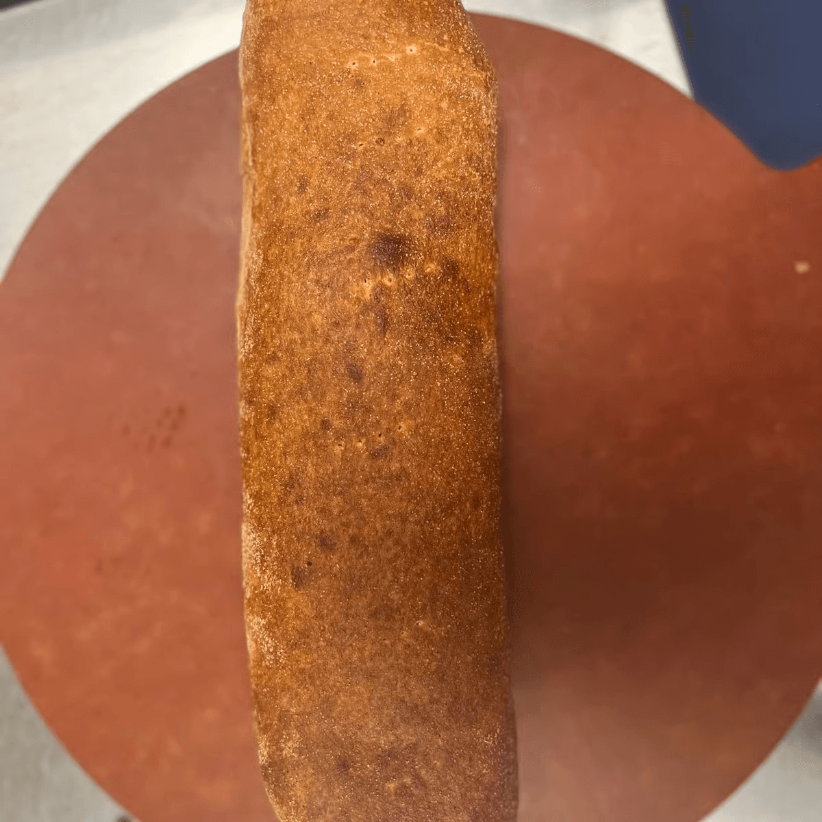 Steak & Cheese Calzone