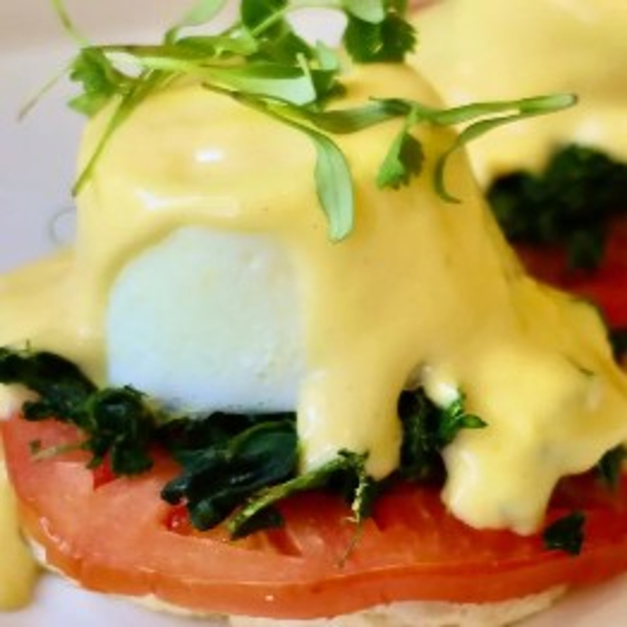 Florentine Benedict