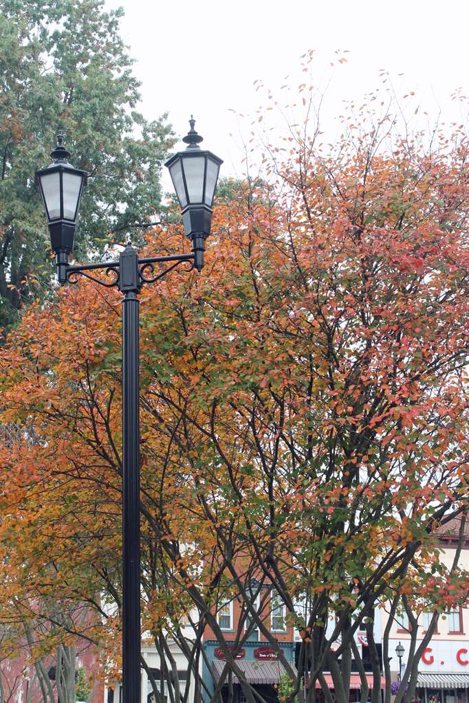 Hampton Inn Gallipolis Image