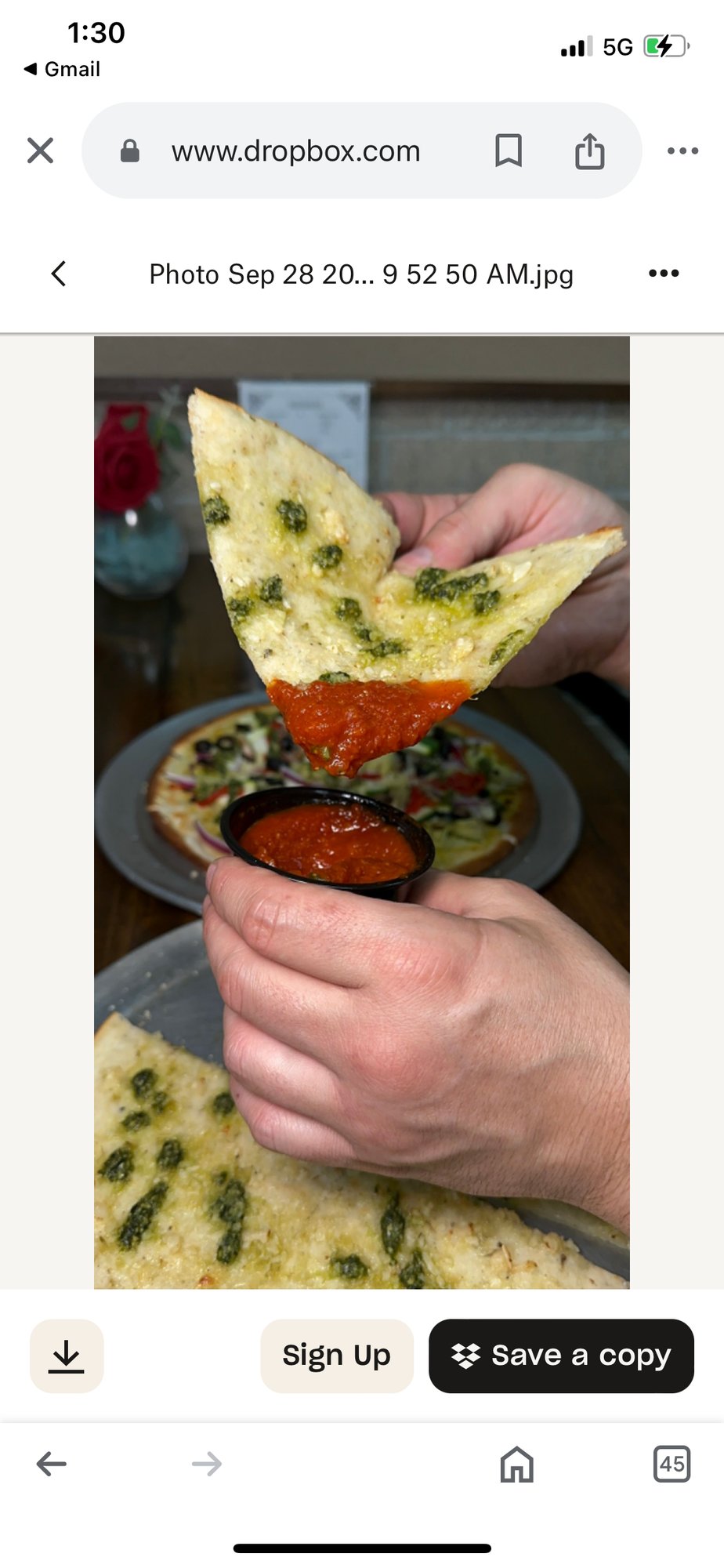 GF Gluten Free Garlic Flat Bread