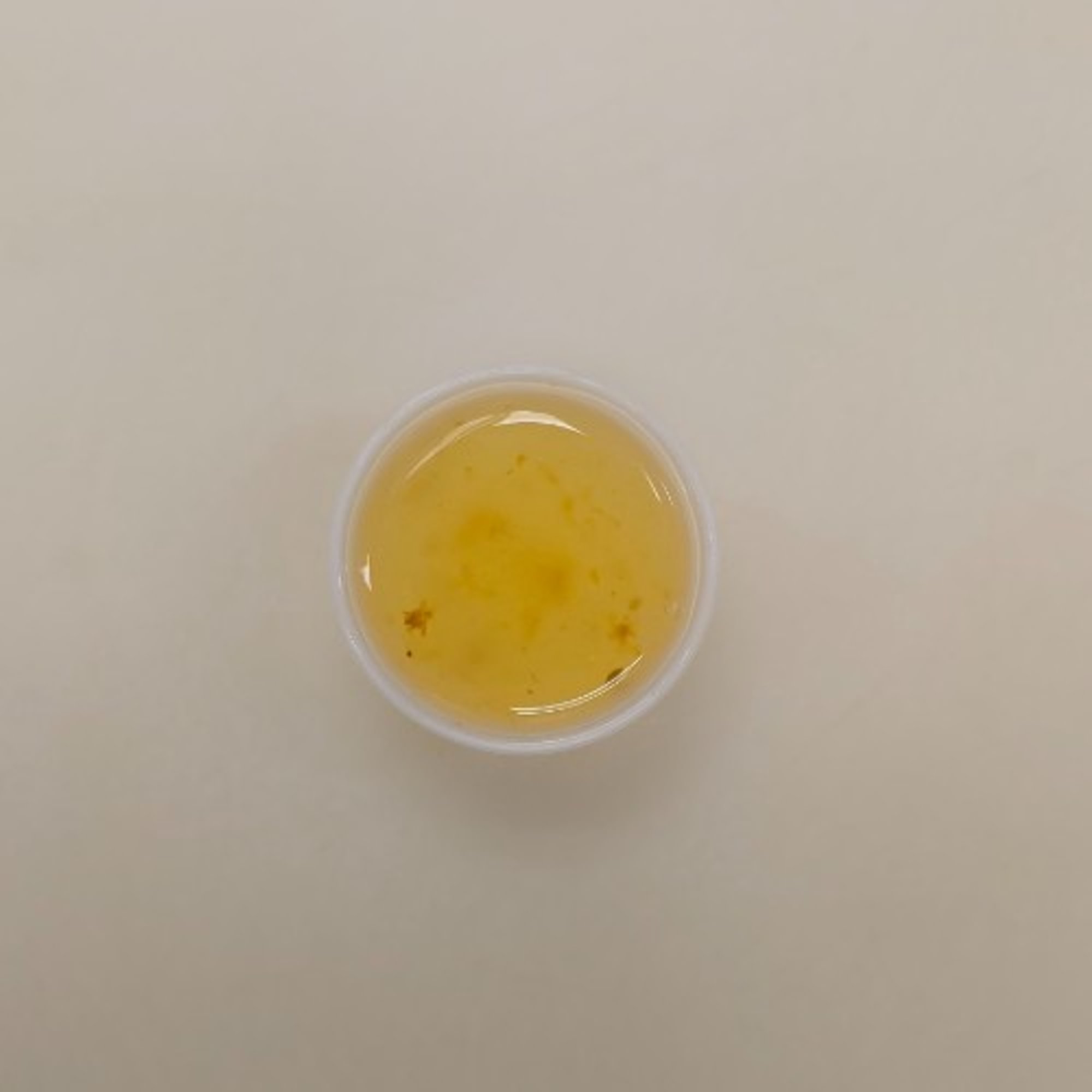 Extra Plum Sauce