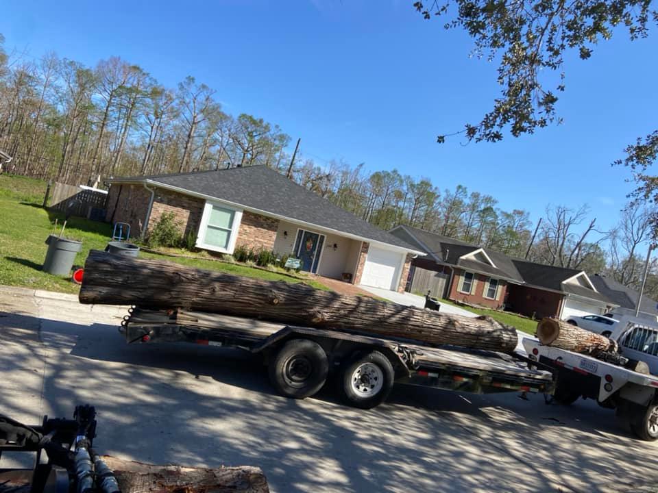 Louisiana Tree Company LLC Image
