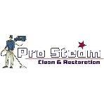 Pro-Steam Carpet Care Logo