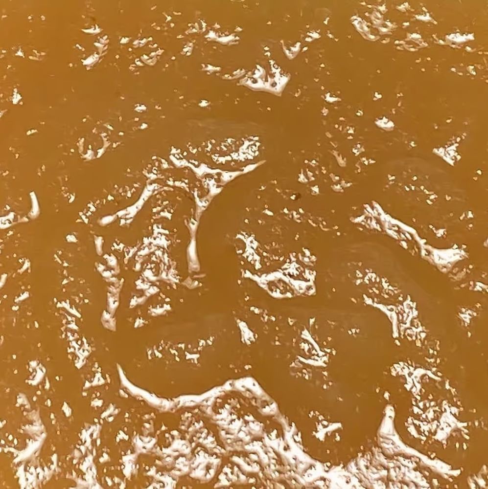Apple Sauce