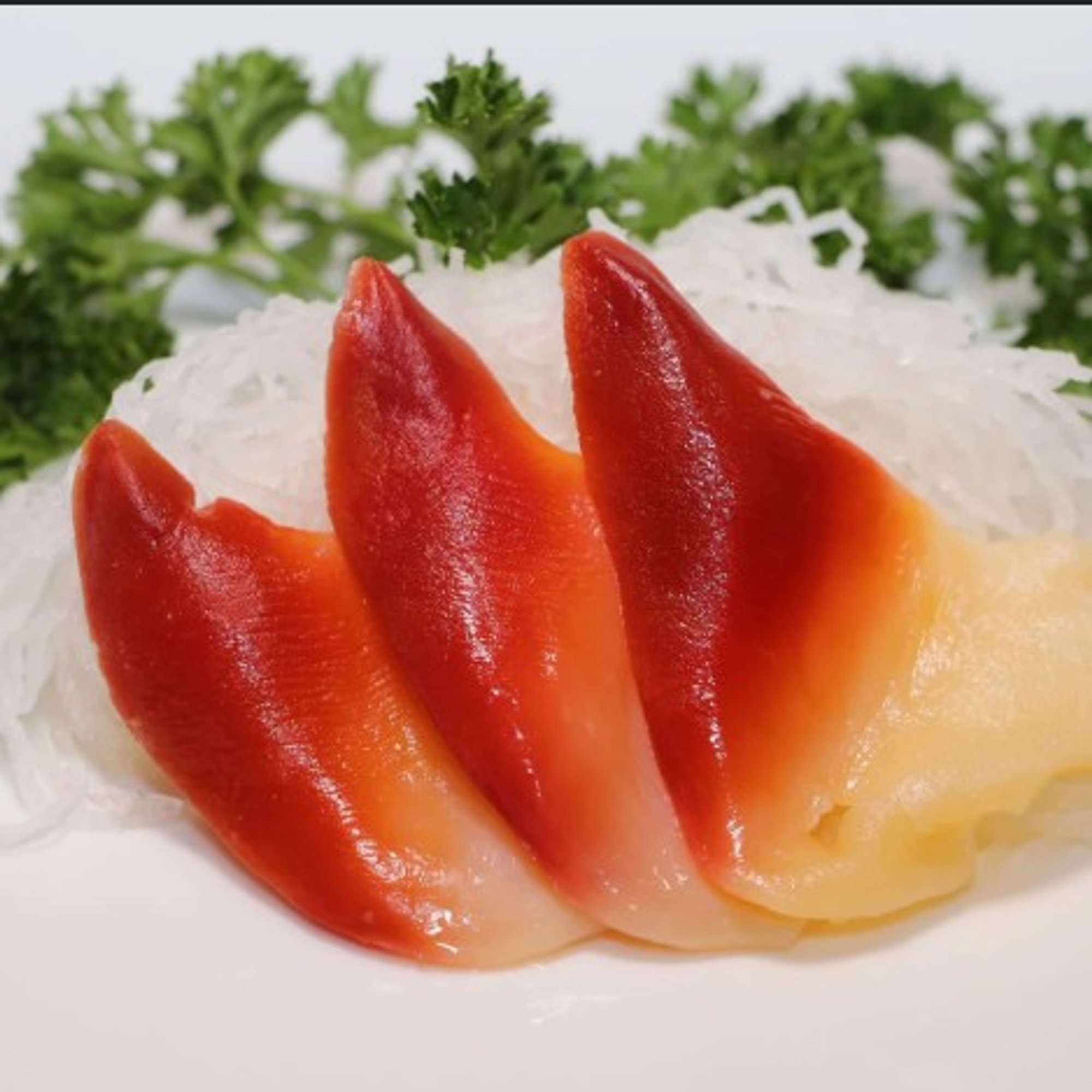 Red Clam