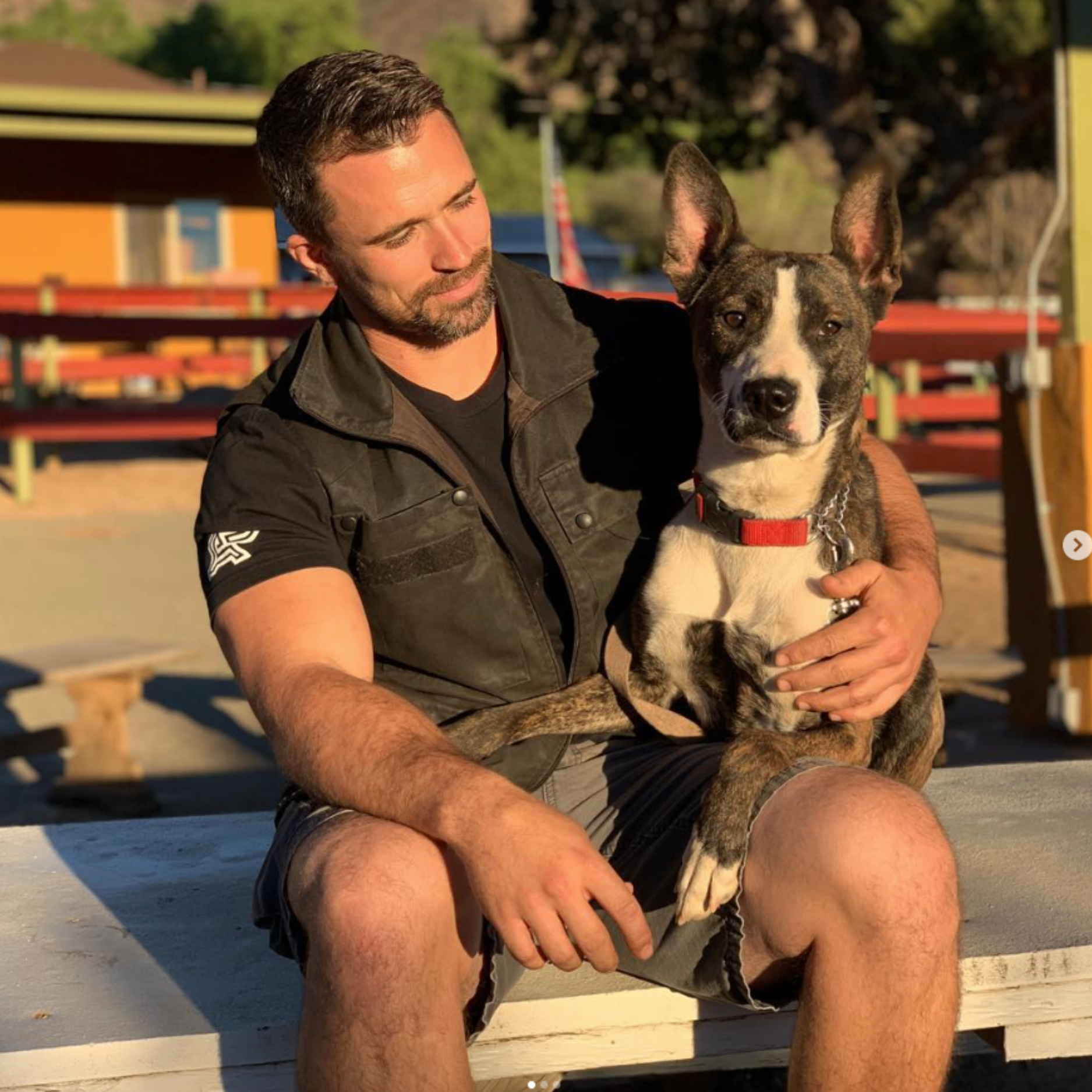 Nate Schoemer Dog Training Image