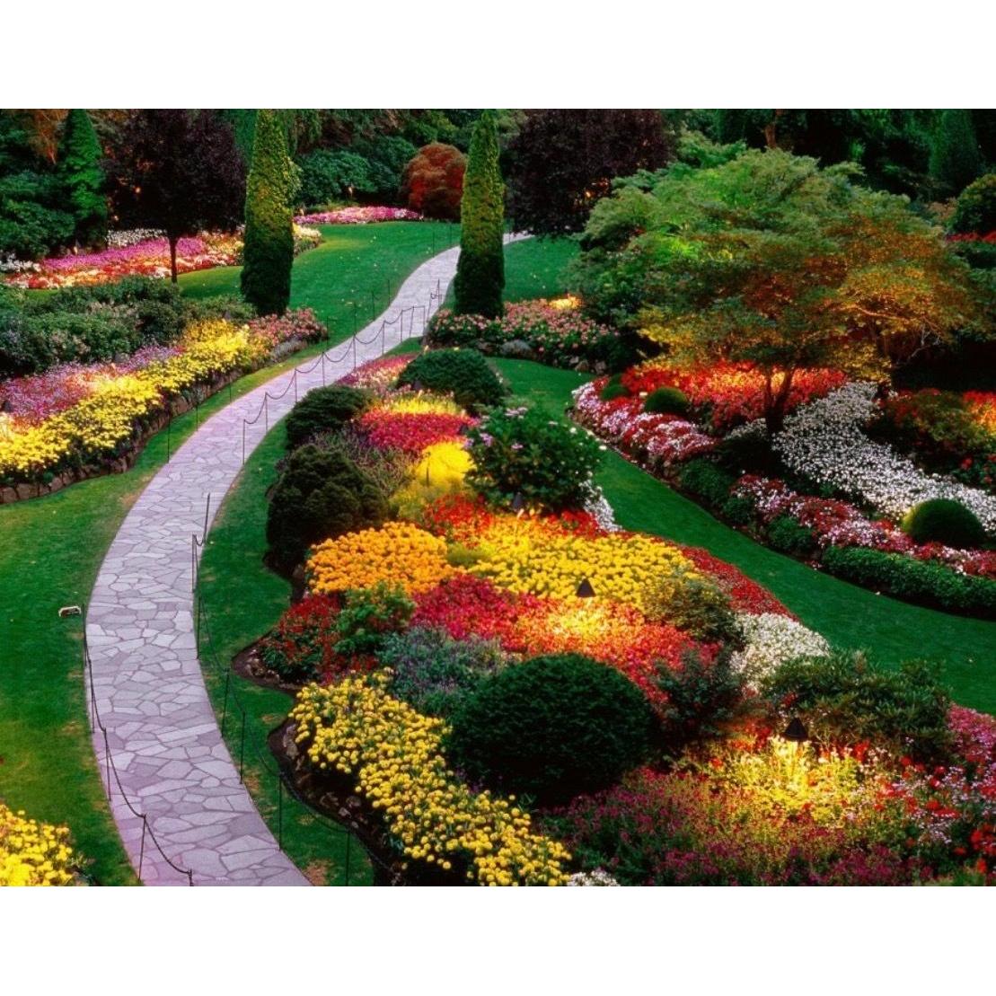 Campos Landscaping Logo