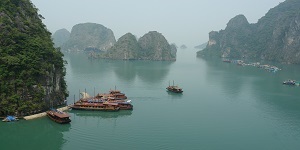 Gallery thumbnail
