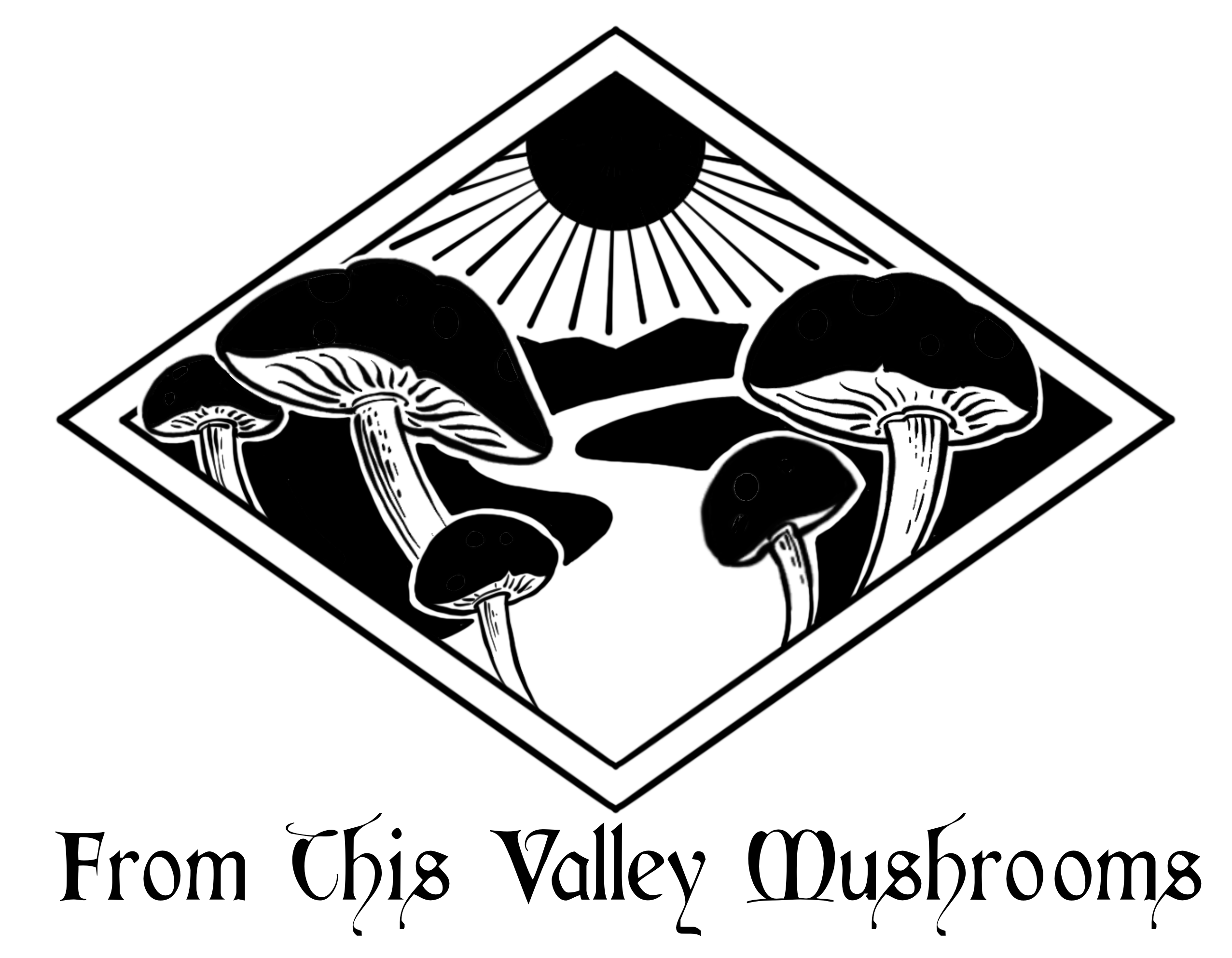 From This Valley Mushrooms Image