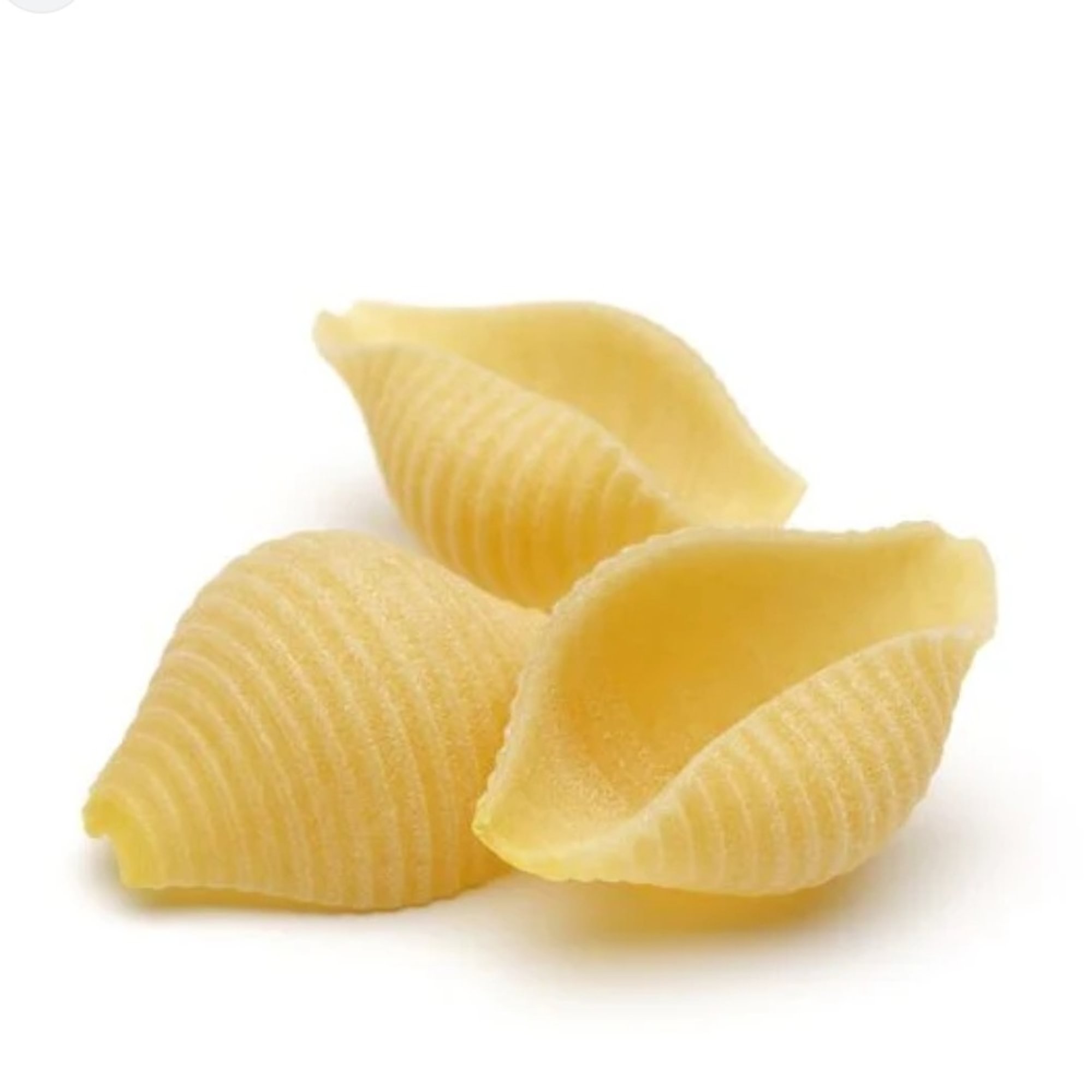 Shells 1Lbs