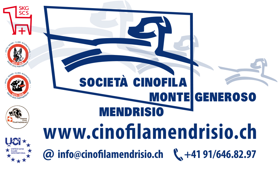 nuovo corso EDU PLUS a partire dal 01.02.2020 ! chiedi info al 091/646.82.97