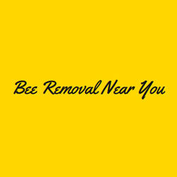 Bee Removal Near You