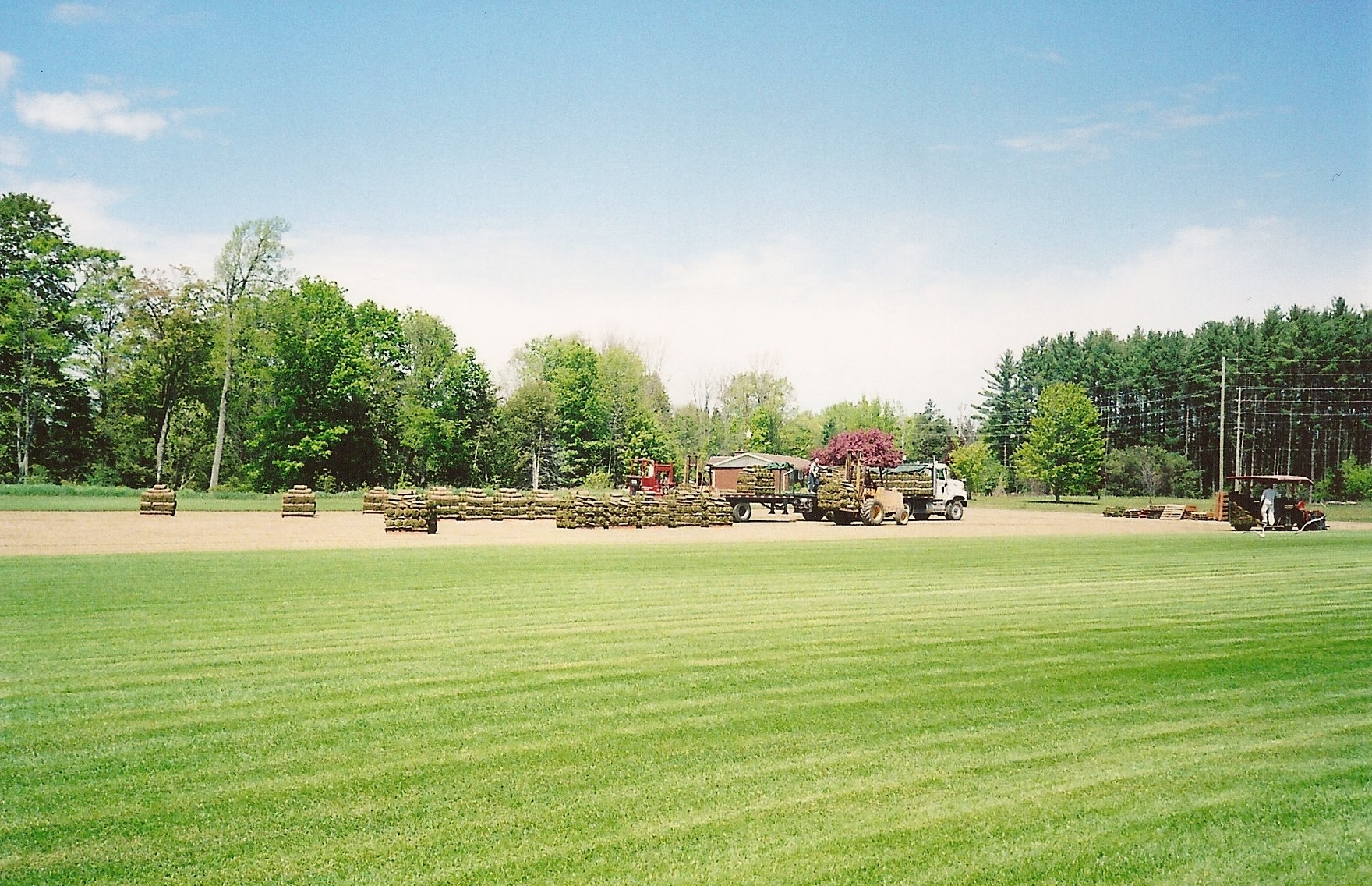 Images Brayford Sod Farms Inc