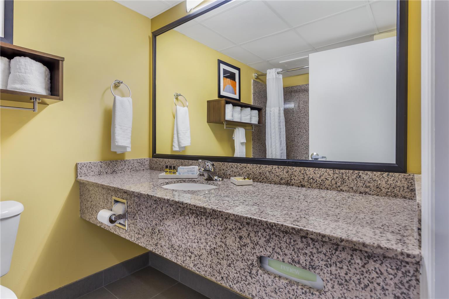 Best Western Plus Suites-Greenville Image
