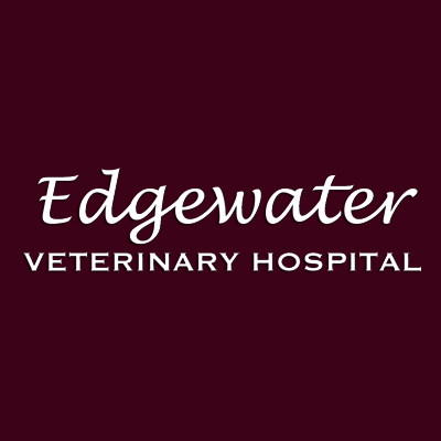 Edgewater Veterinary Hospital Logo