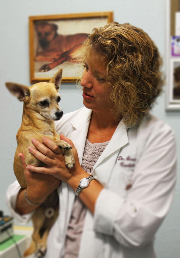 Southwest Florida Veterinary Specialists & 24-Hour Emergency Hospital Photo