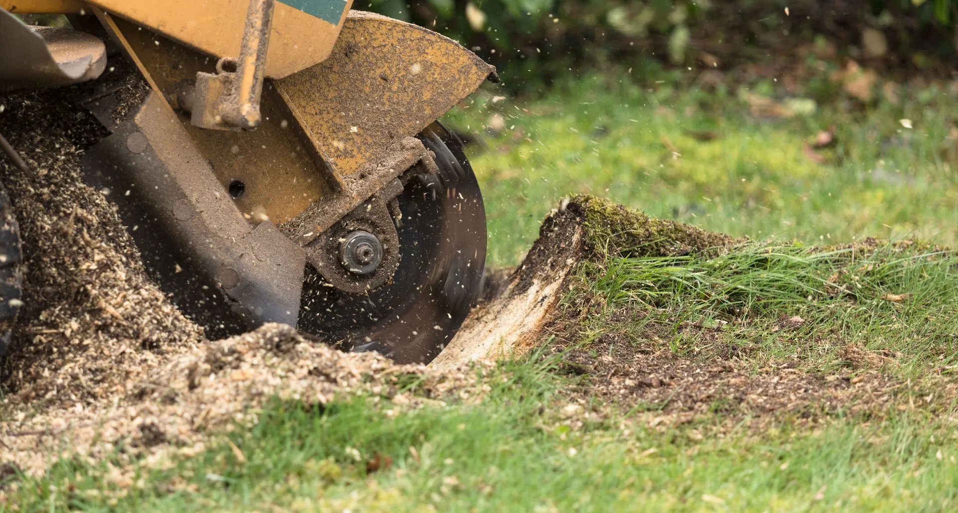 Stump Grinding