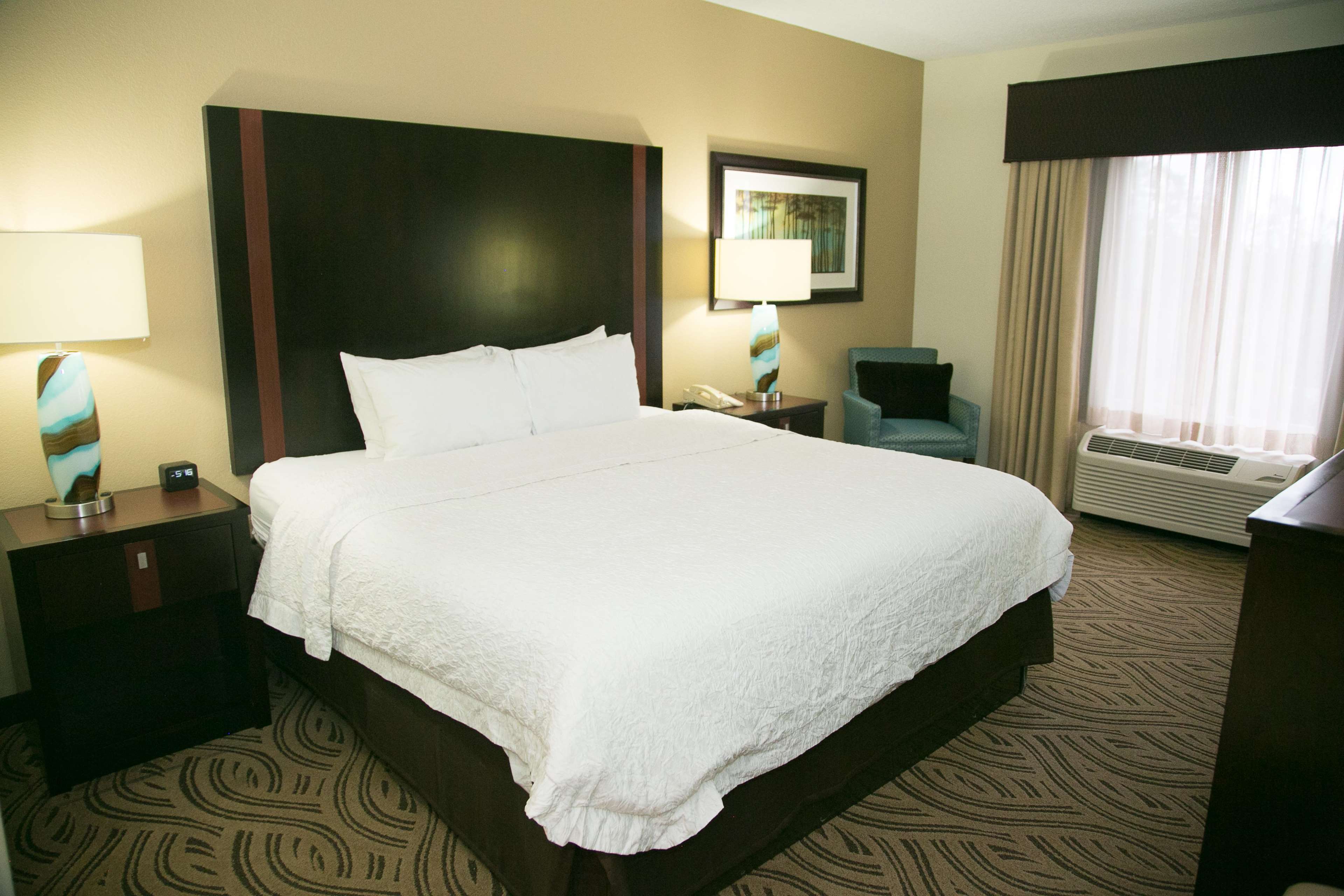 Hampton Inn & Suites Alpharetta Photo