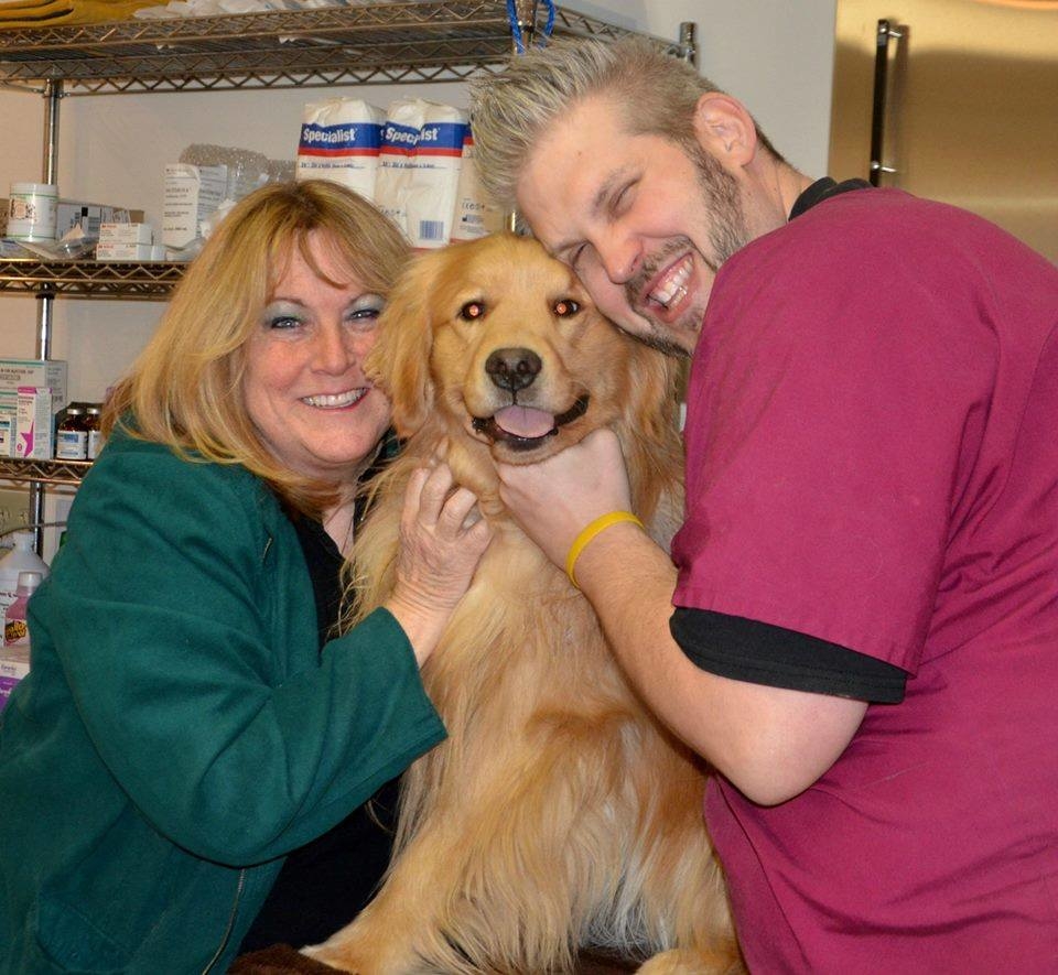 Fur and Feathers Veterinary Care