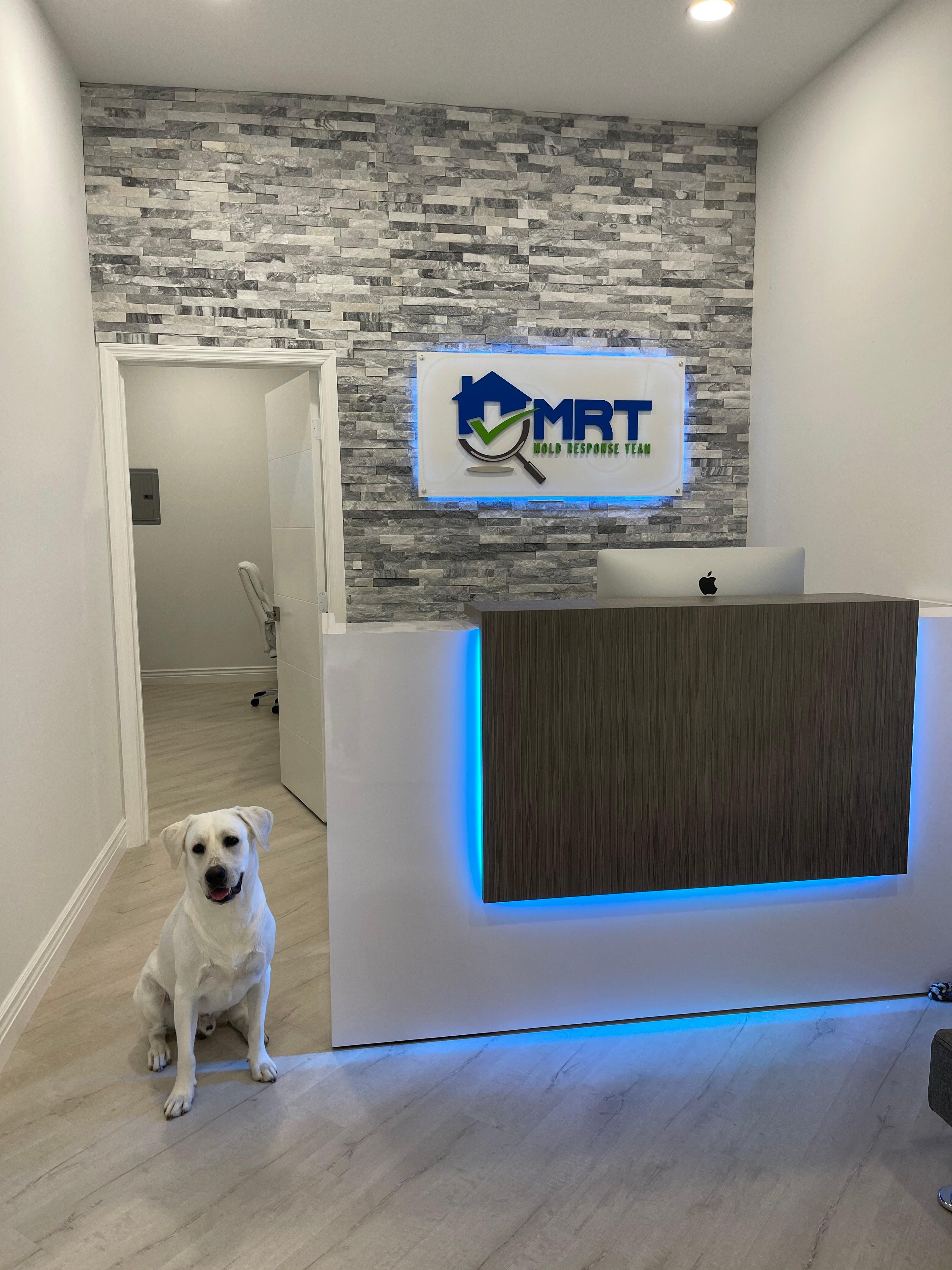 Mold Response Team Image