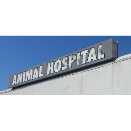 Animal Hospital Photo