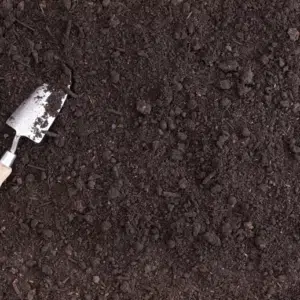 Soil