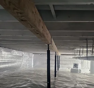 Crawspace Encapsulation