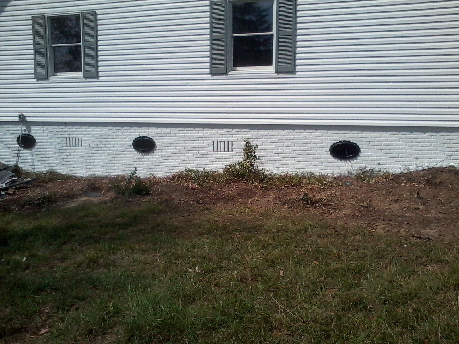 Spider's Construction Image