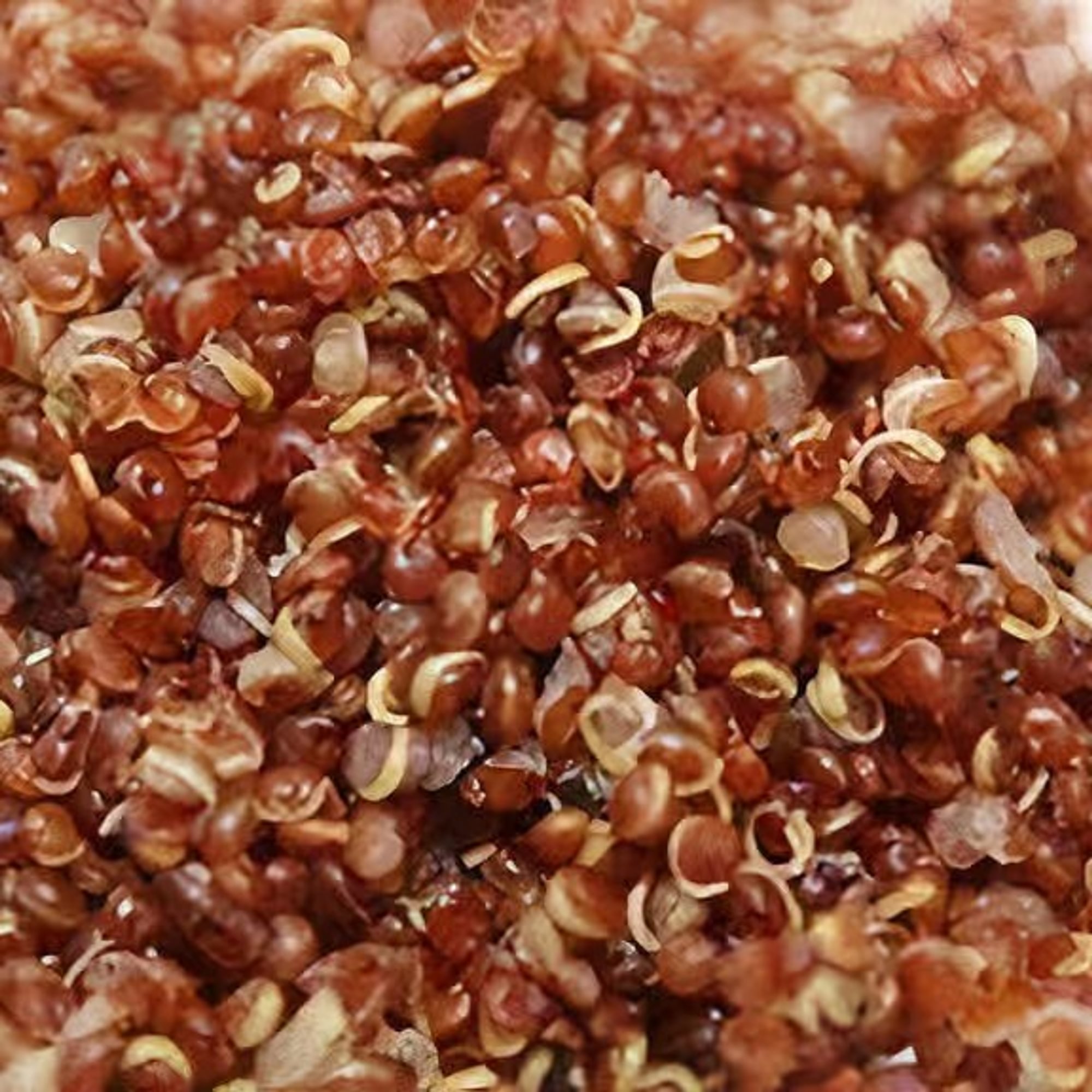 Quinoa