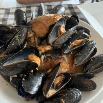 Mussels