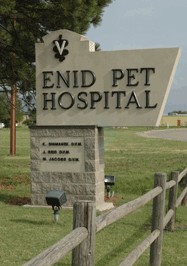 Enid Pet Hospital Photo