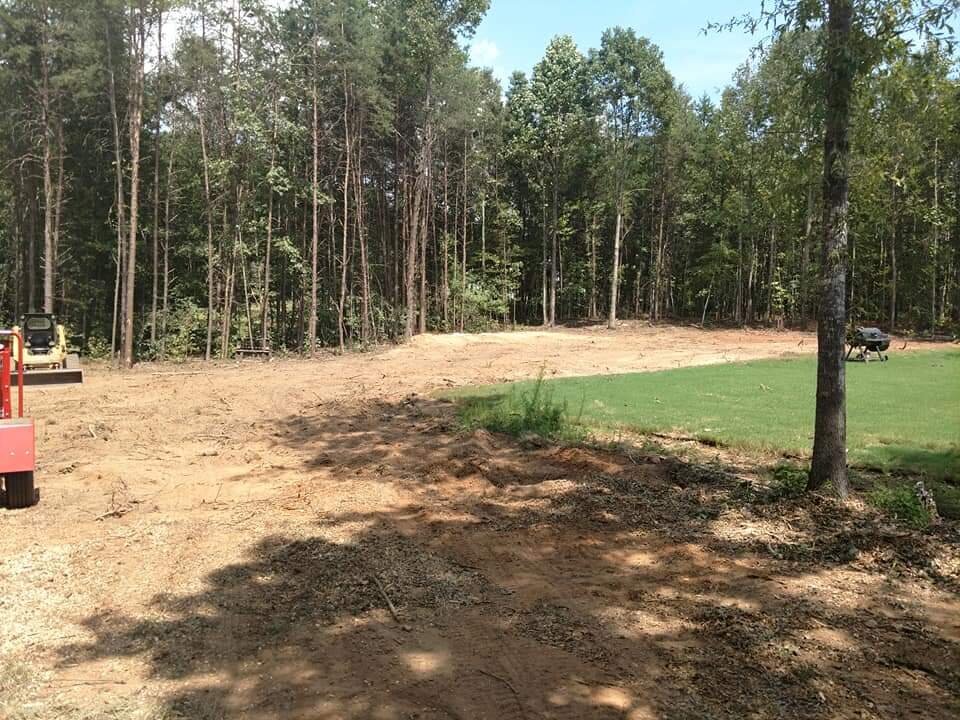 ALPHA TREE CARE LLC Image