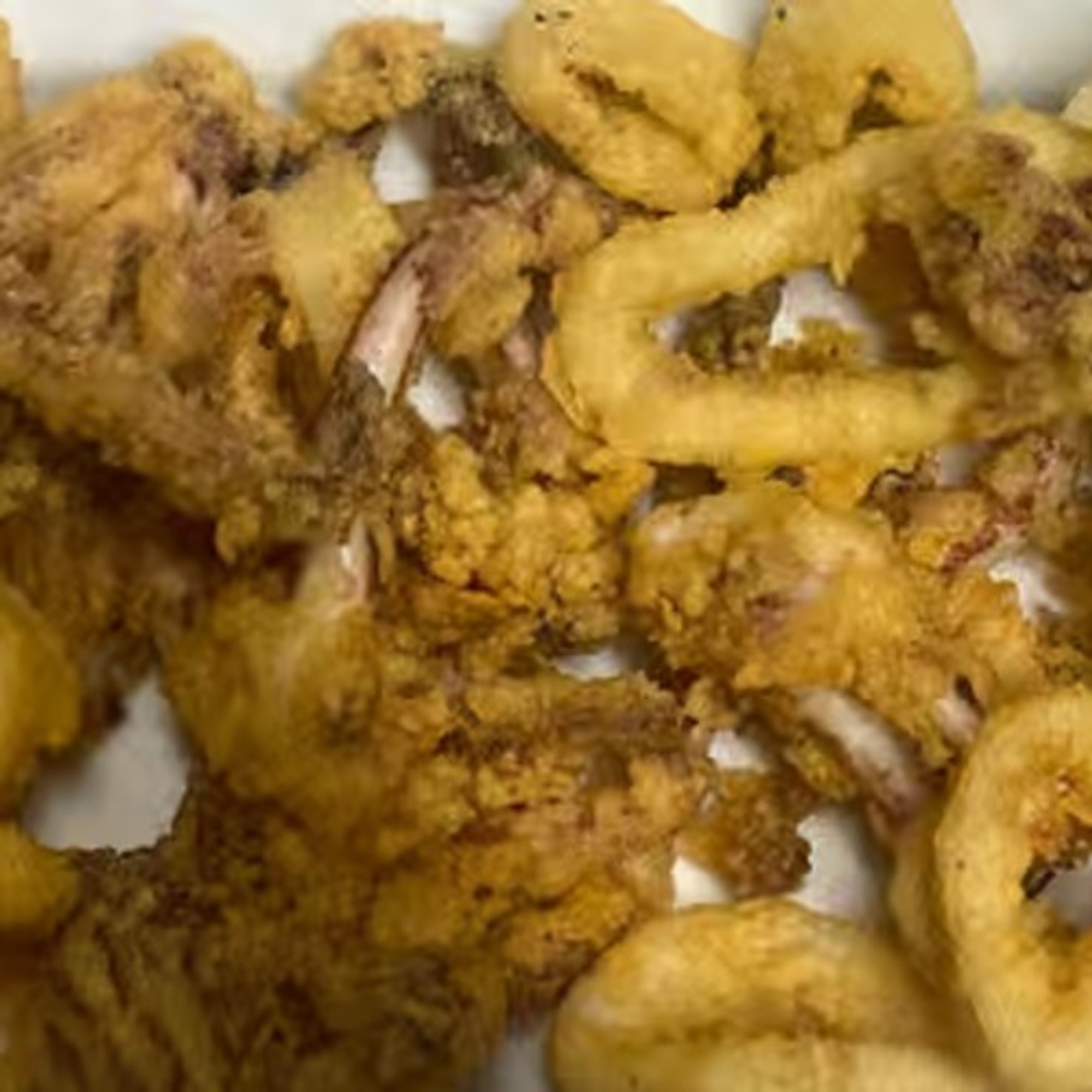 Calamari