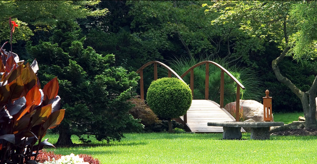 Images Rich Briandi Enterprise Tree & Landscaping, Inc.