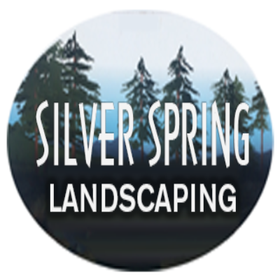 Silver Spring Landscaping Photo