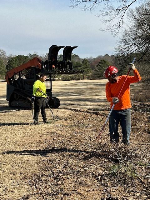 Georgia Tree Company Image