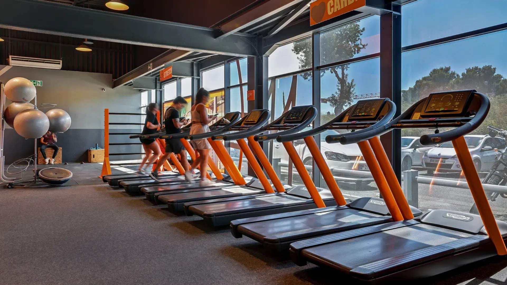 Miniature de la galerie